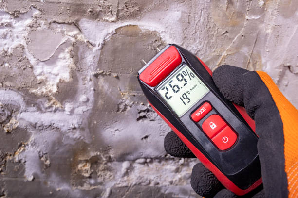 Best Mold Remediation for Specific Building Types in Ortonville, MI