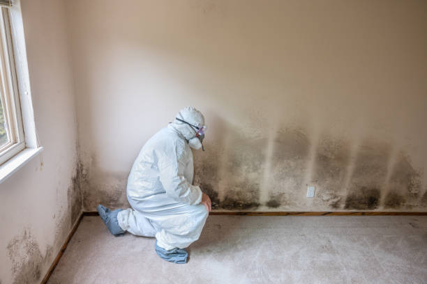 Best Industrial Mold Remediation in Ortonville, MI